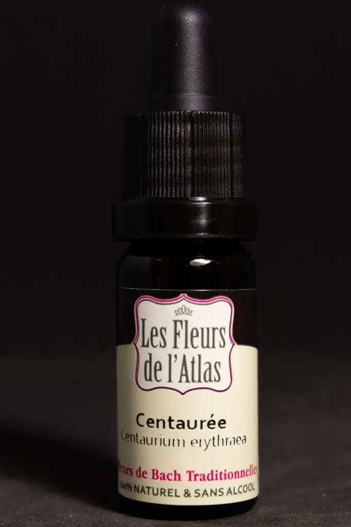 Centaury - Centaurée