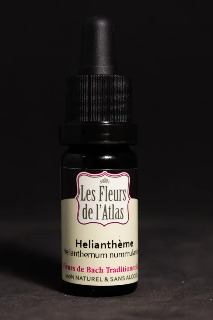 Rock Rose - Hélianthème