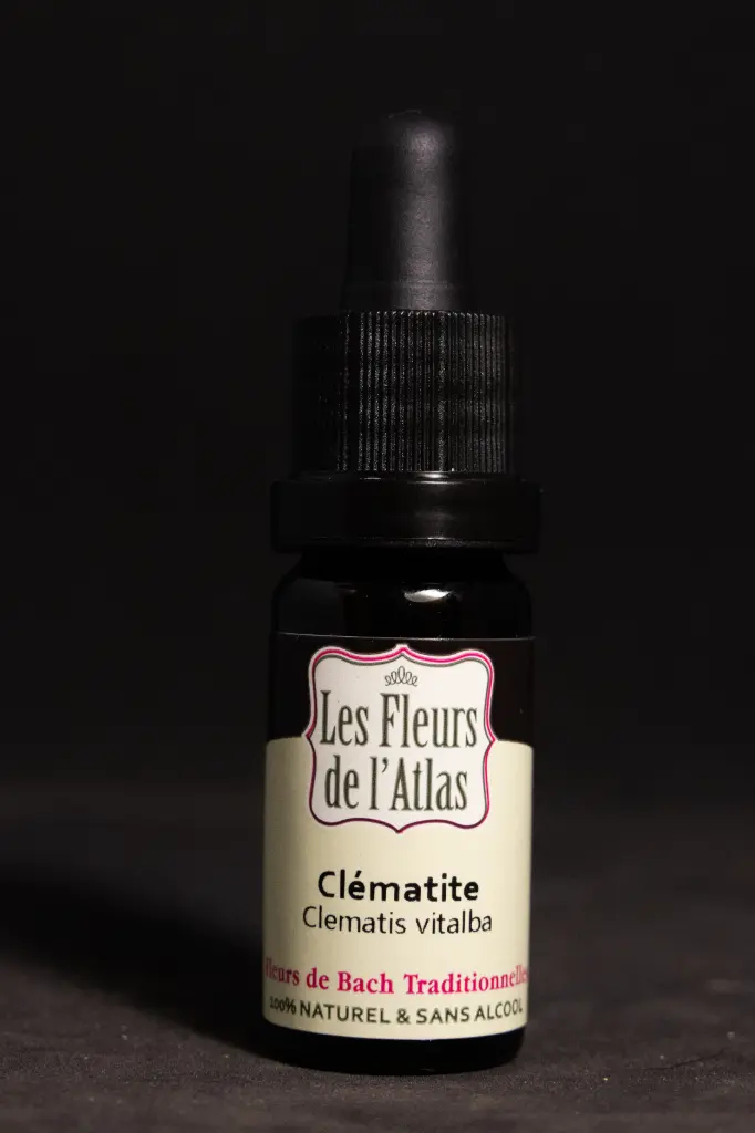 Clematis - Clématite