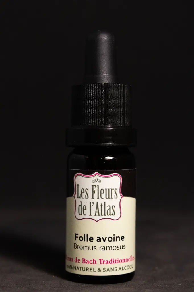 Wild Oat - Folle Avoine