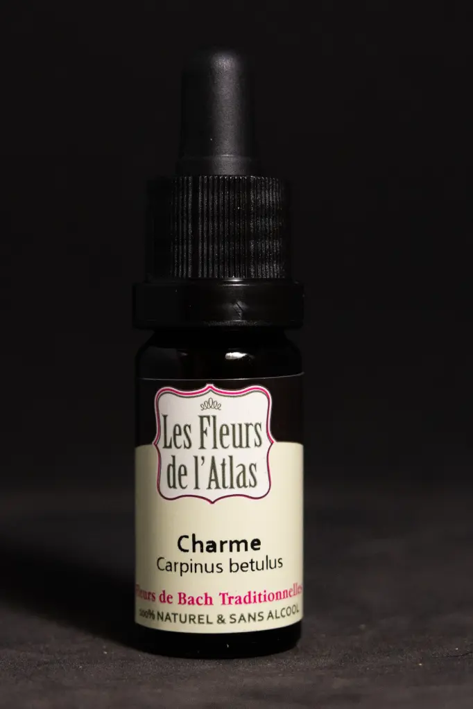 Hornbeam - Charme