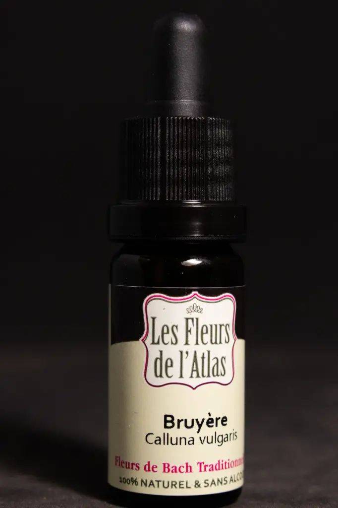 Heather - Bruyère