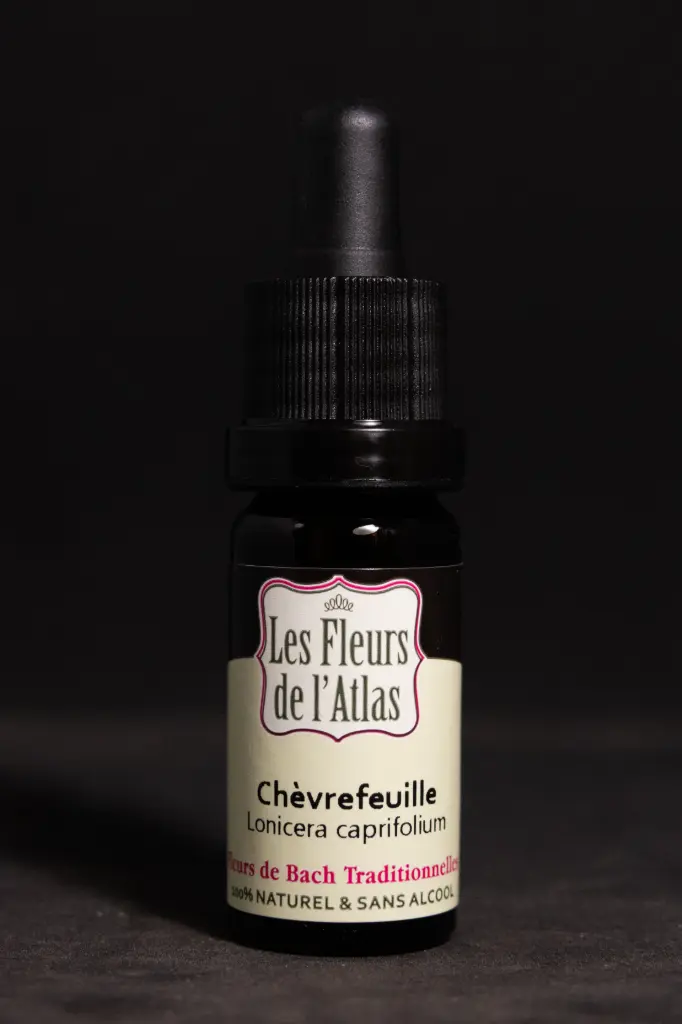 Honeysuckle - Chèvrefeuille