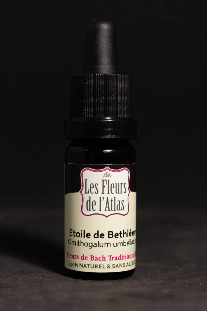 Star of Bethlehem - Étoile de Bethléem