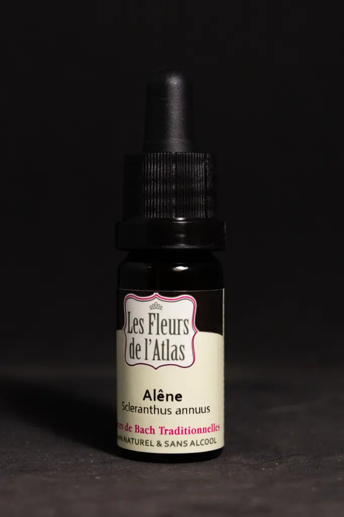 Scleranthus - Alêne