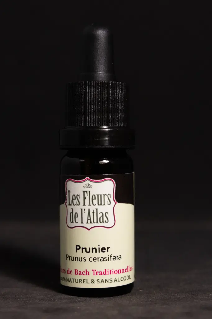 Cherry Plum - Prunier