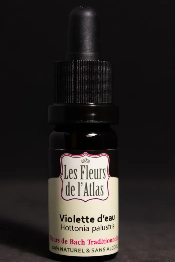 Water Violet - Violette d'eau