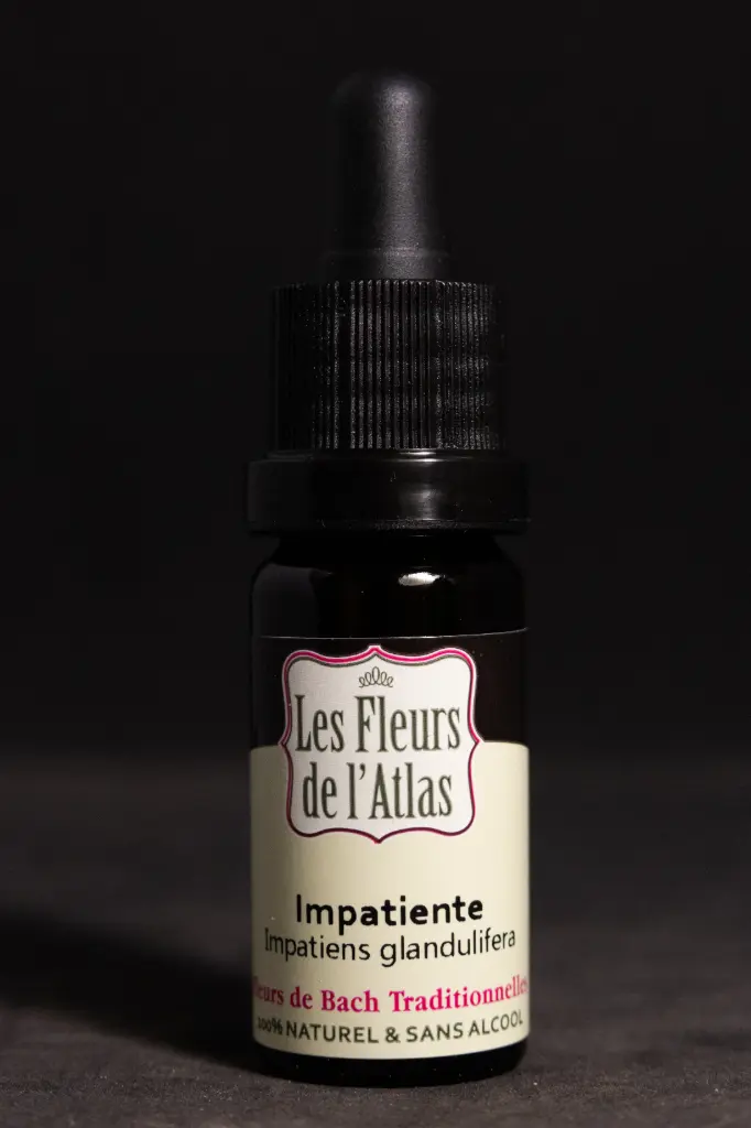 Impatiens - Impatiente