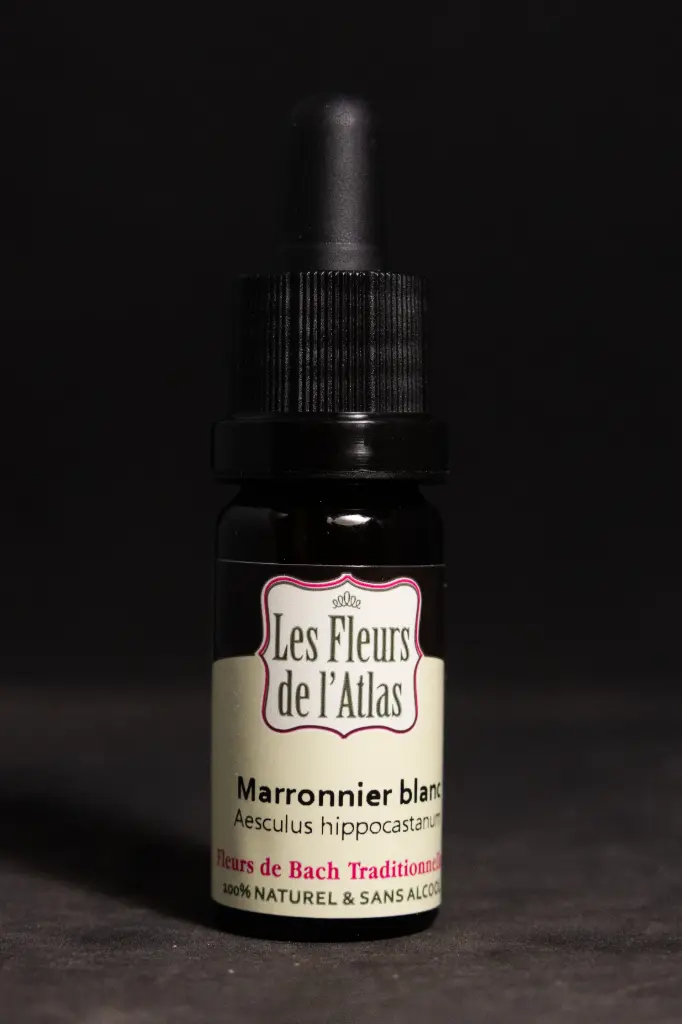 White Chestnut - Marronnier blanc