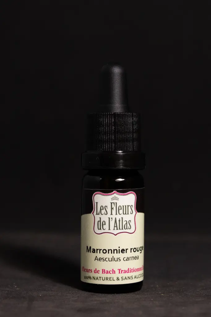 Red Chestnut - Marronnier Rouge